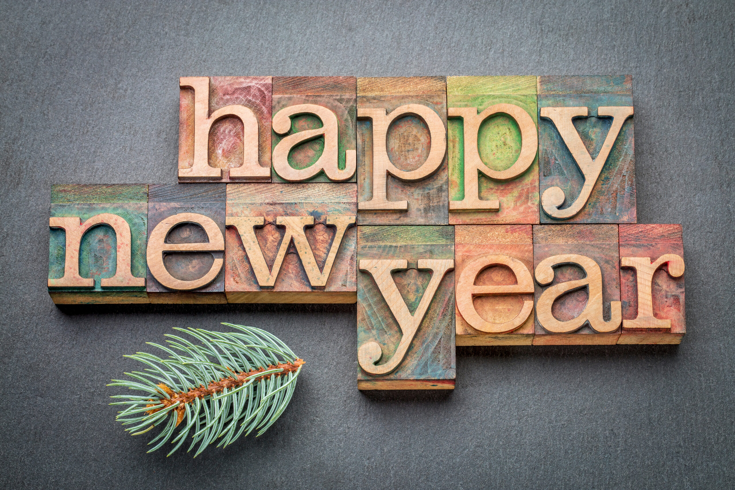 Happy New Year - text in letterpress wood type blocks on a slate stone background with a branch of Colorado silver spruce